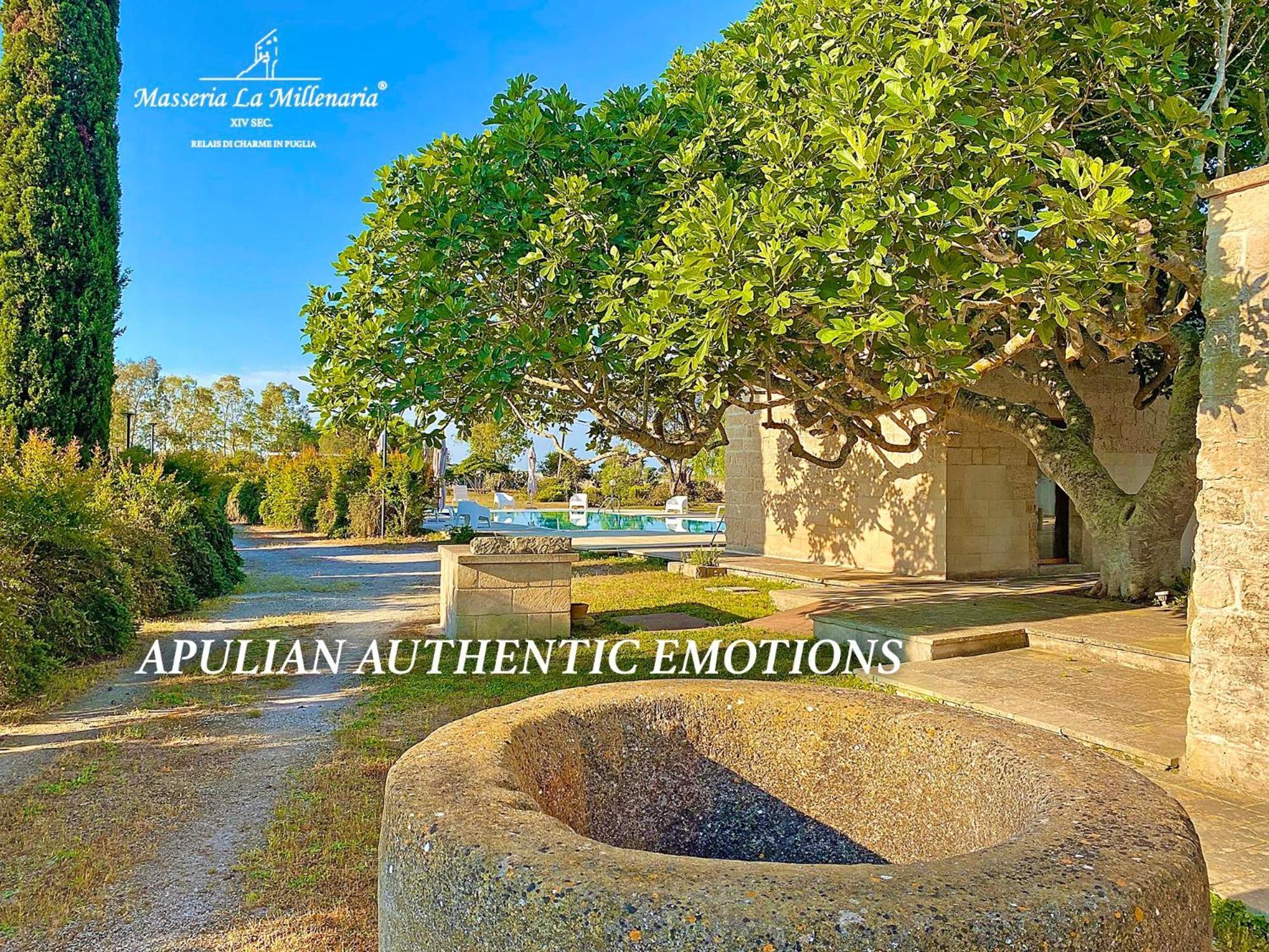 Masseria La Millenaria سان فوكا المظهر الخارجي الصورة